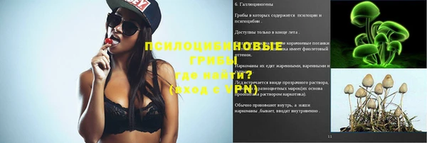 бошки Балахна
